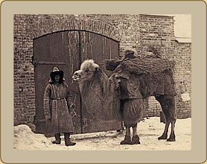 Верблюд и киргиз